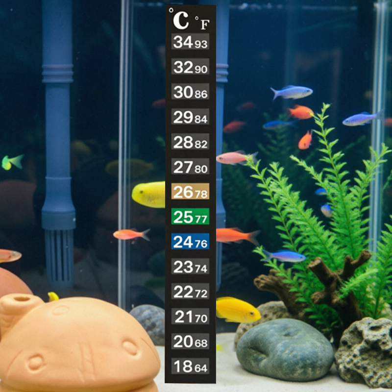Planted Aquarium Temperature - 1/5 Termómetros de Alta Precisión para