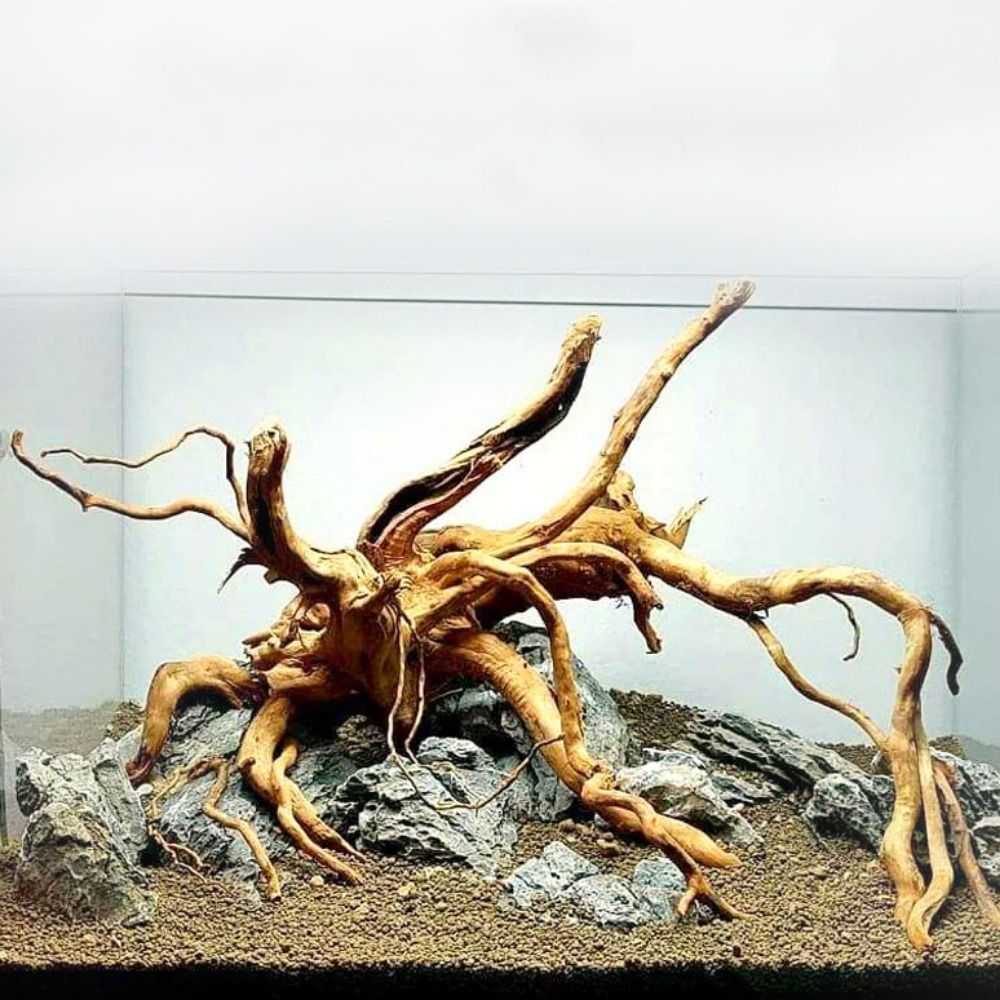 Planted Aquarium Media - Tronco de Madera Natural para Acuario