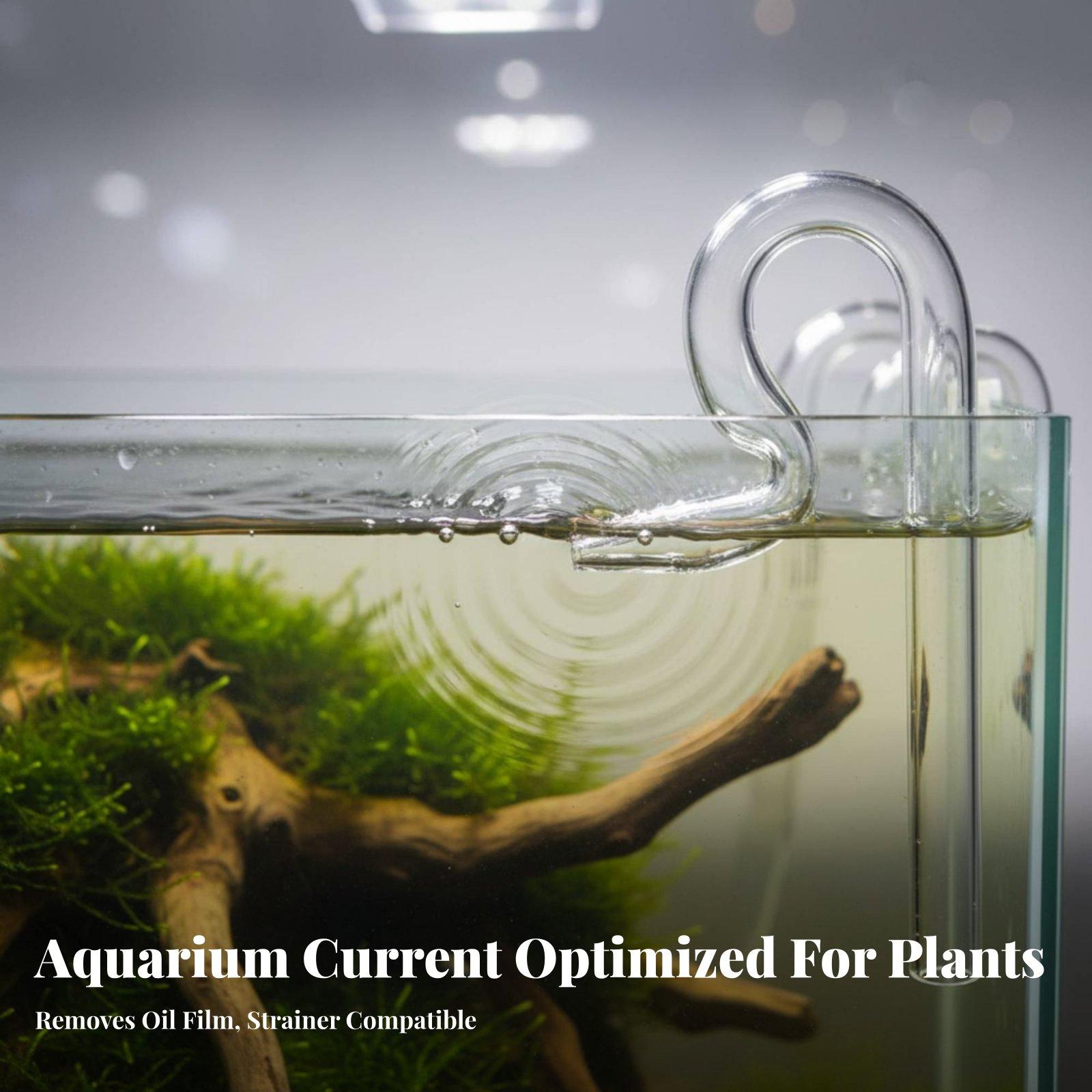Tubo de vidrio tipo lirio para - Aquarium Lily Pipe reseña y precio