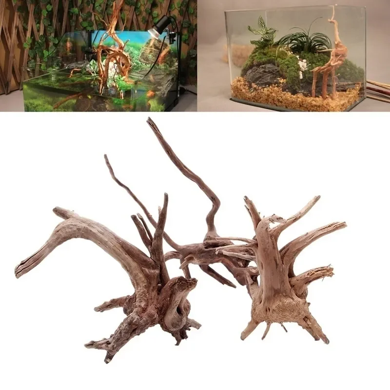 Tronco de árbol Natural de mad - Aquarium Plant Live reseña y precio