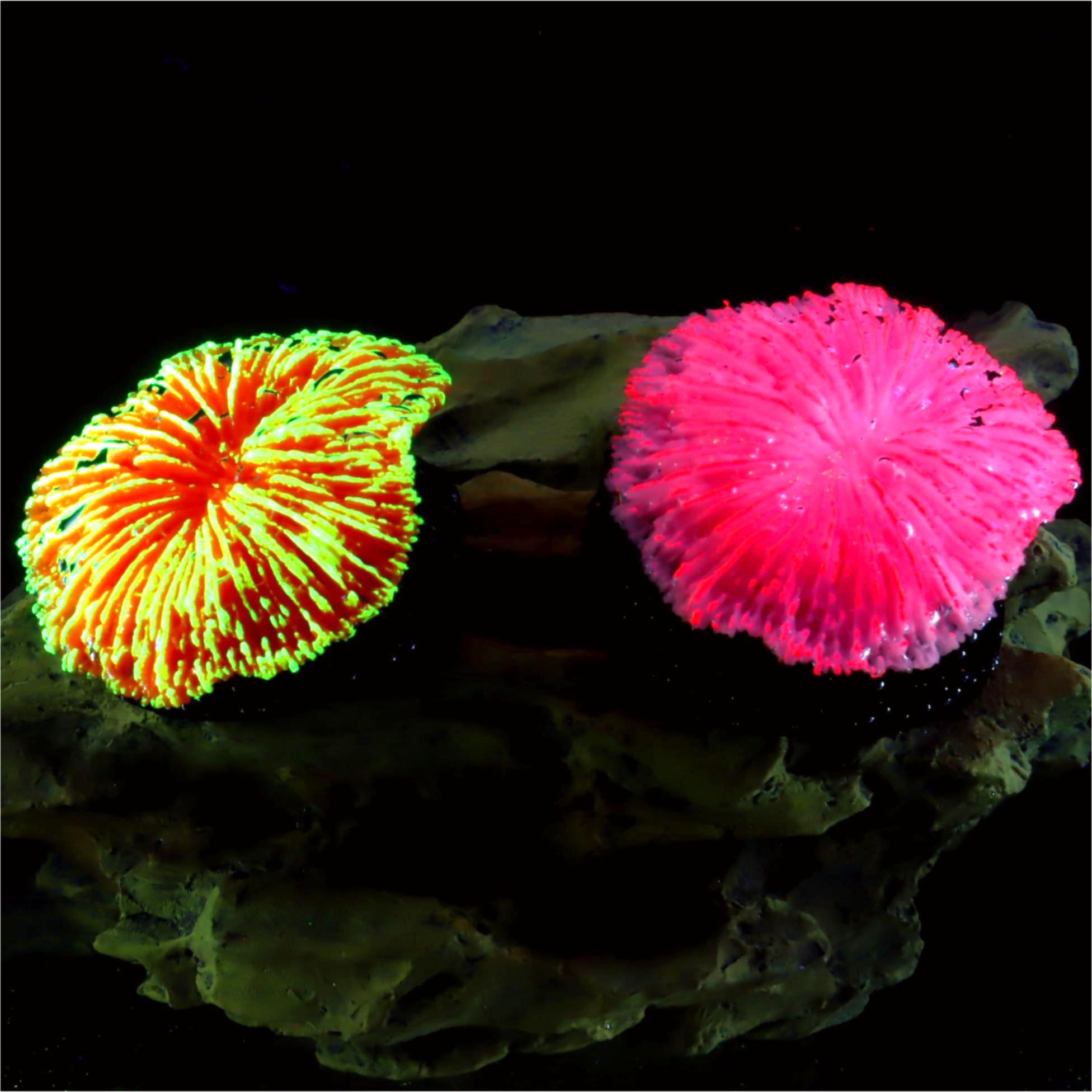 1 pieza de decoración para acu - Aquarium Plant Live reseña y precio