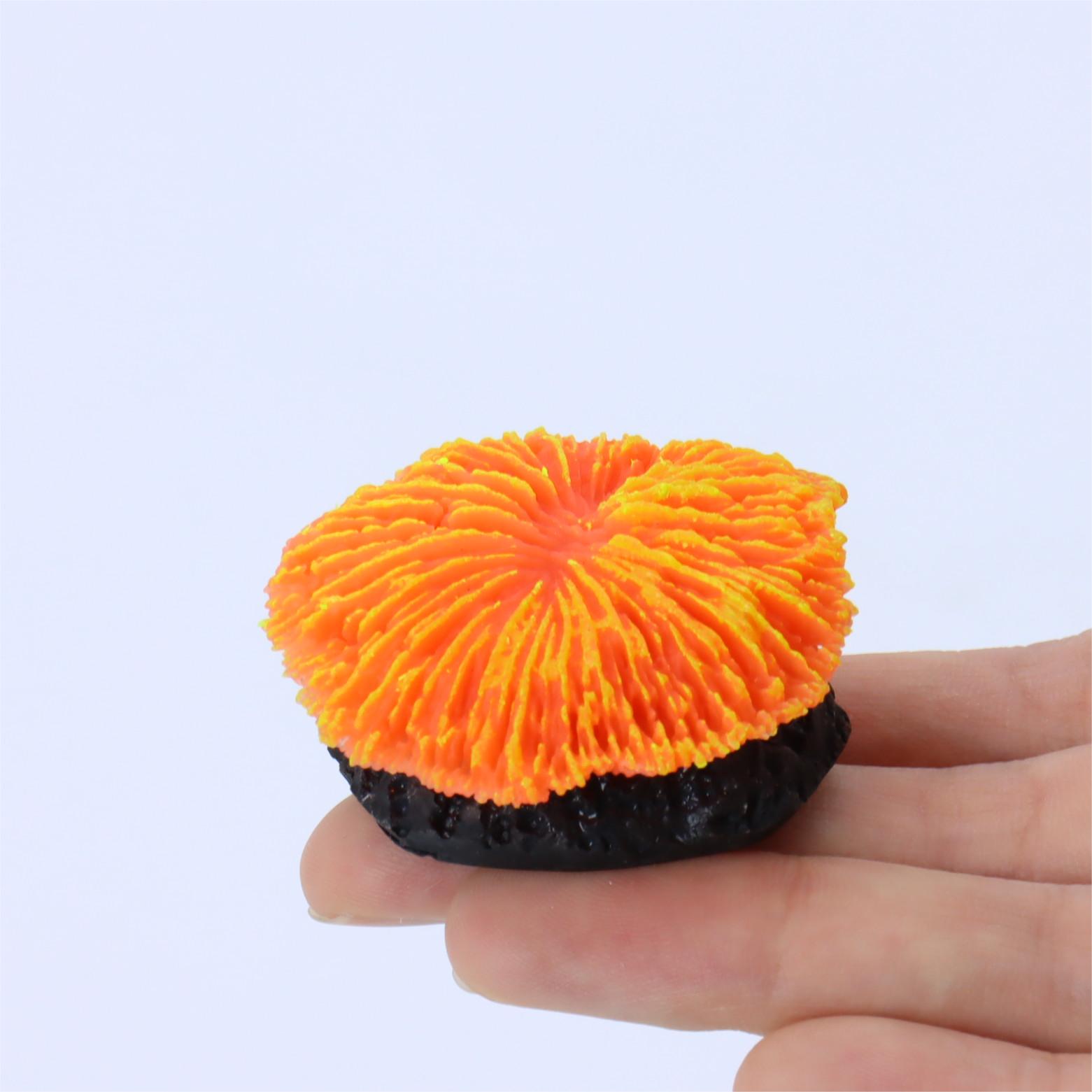 1 pieza de decoración para acu - Aquarium Plant Live reseña y precio