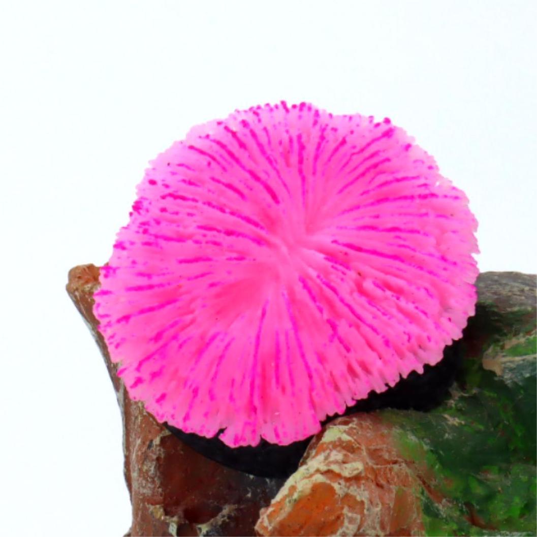 1 pieza de decoración para acu - Aquarium Plant Live reseña y precio