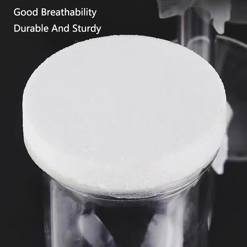 Bomba de aire de vidrio para a - Aquarium Lily Pipe reseña y precio