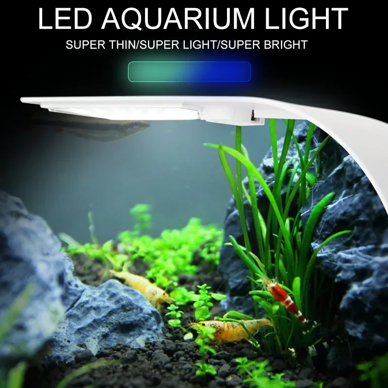 Luz LED súper delgada para acu - Planted Aquarium Pictures reseña y precio