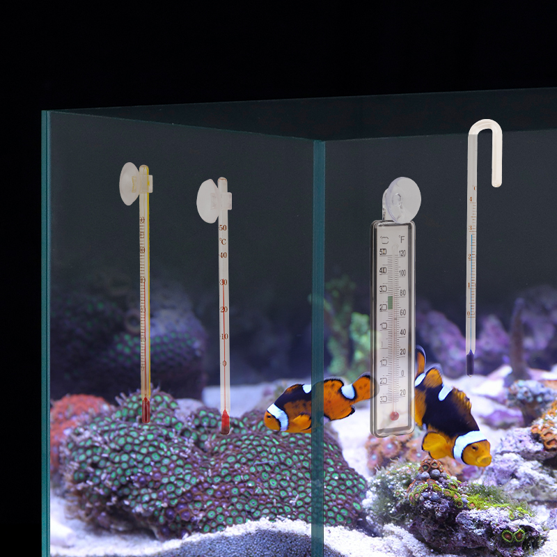 Termómetro digital para acuari - Planted Aquarium Temperature reseña y precio