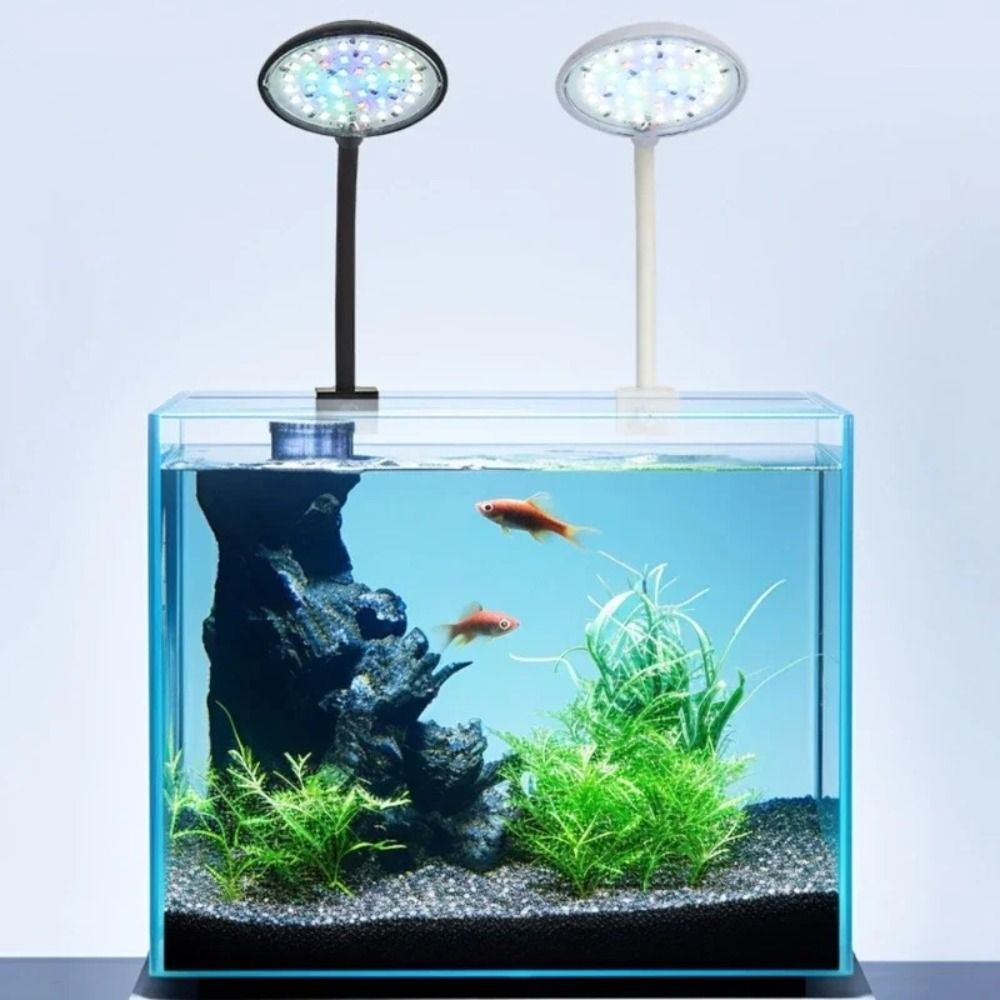 Lámpara de Clip para Pecera Mi - Aquarium Plant Live reseña y precio