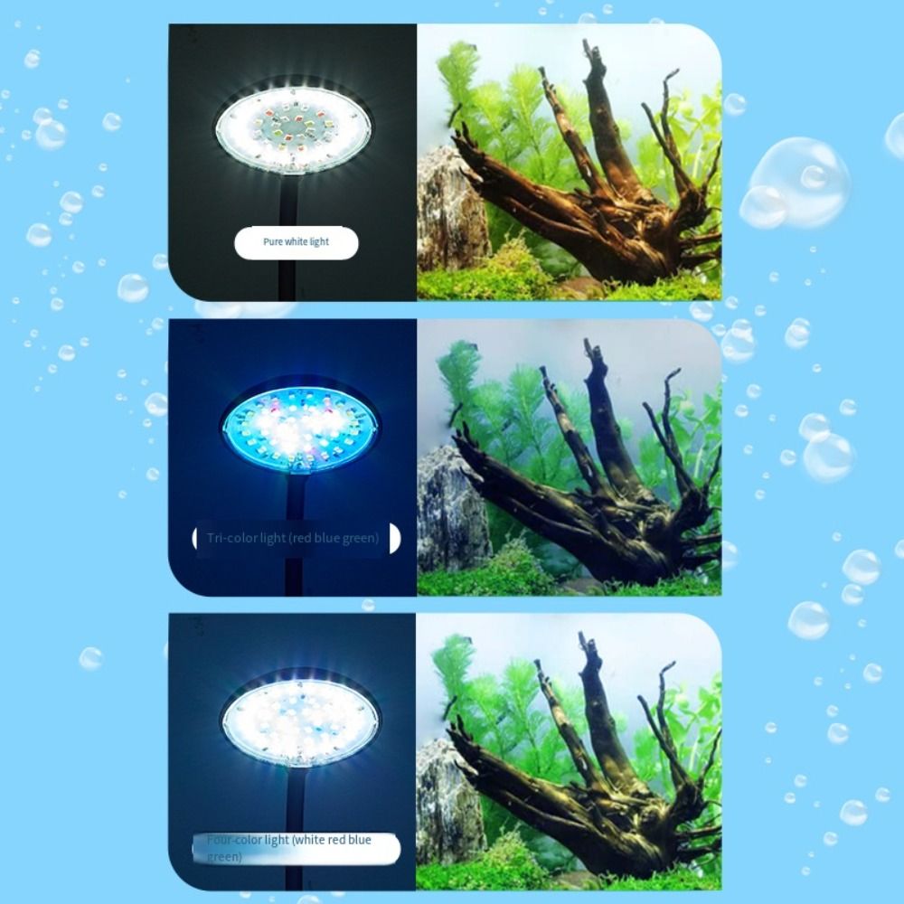 Lámpara de Clip para Pecera Mi - Aquarium Plant Live reseña y precio