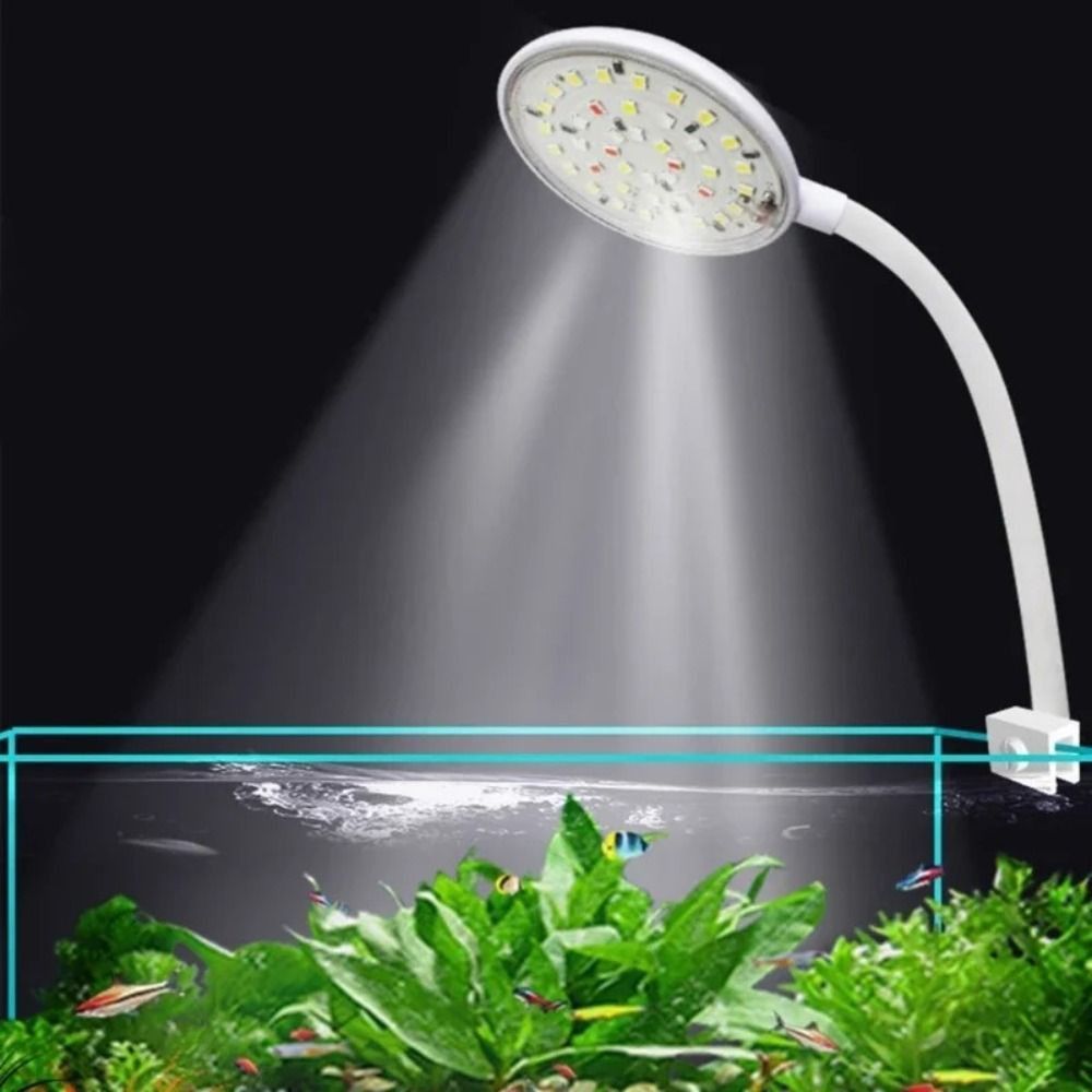 Lámpara de Clip para Pecera Mi - Aquarium Plant Live reseña y precio