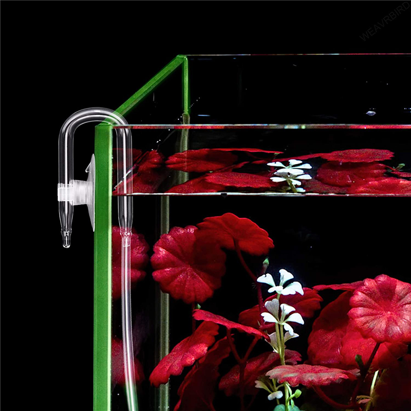 Conector de tubo de aire en fo - Aquarium Lily Pipe reseña y precio