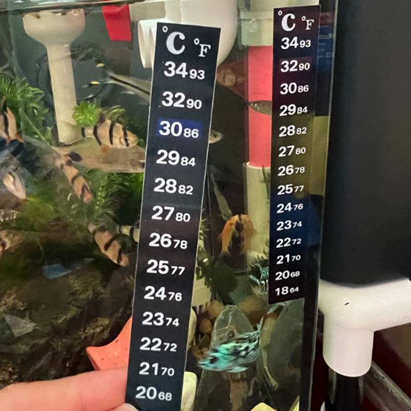 1/5 Termómetros de Alta Precis - Planted Aquarium Temperature reseña y precio