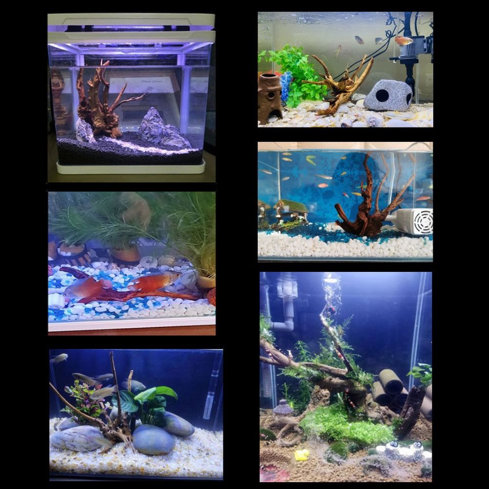 Tronco de Madera Natural para  - Planted Aquarium Media reseña y precio