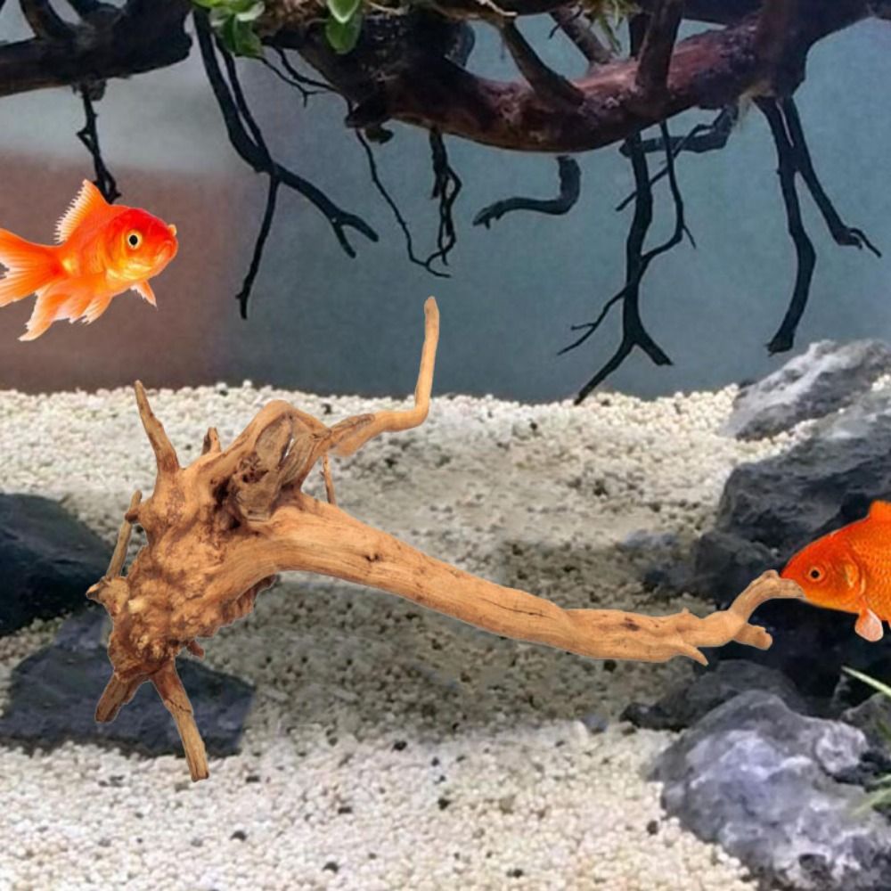 Tronco de Madera Natural para  - Planted Aquarium Media reseña y precio