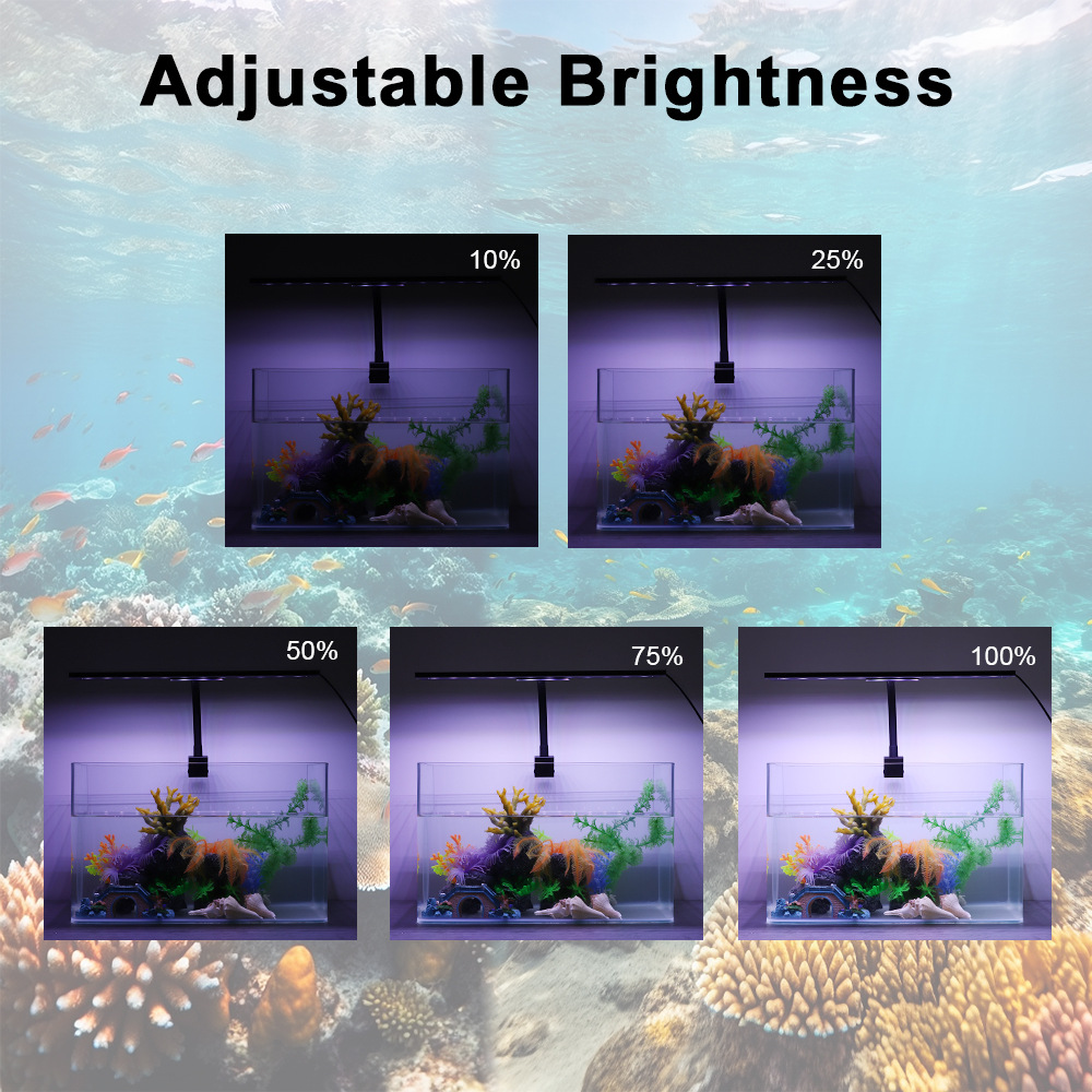 Luz LED para Acuario con Ciclo - Planted Aquarium Cycling reseña y precio