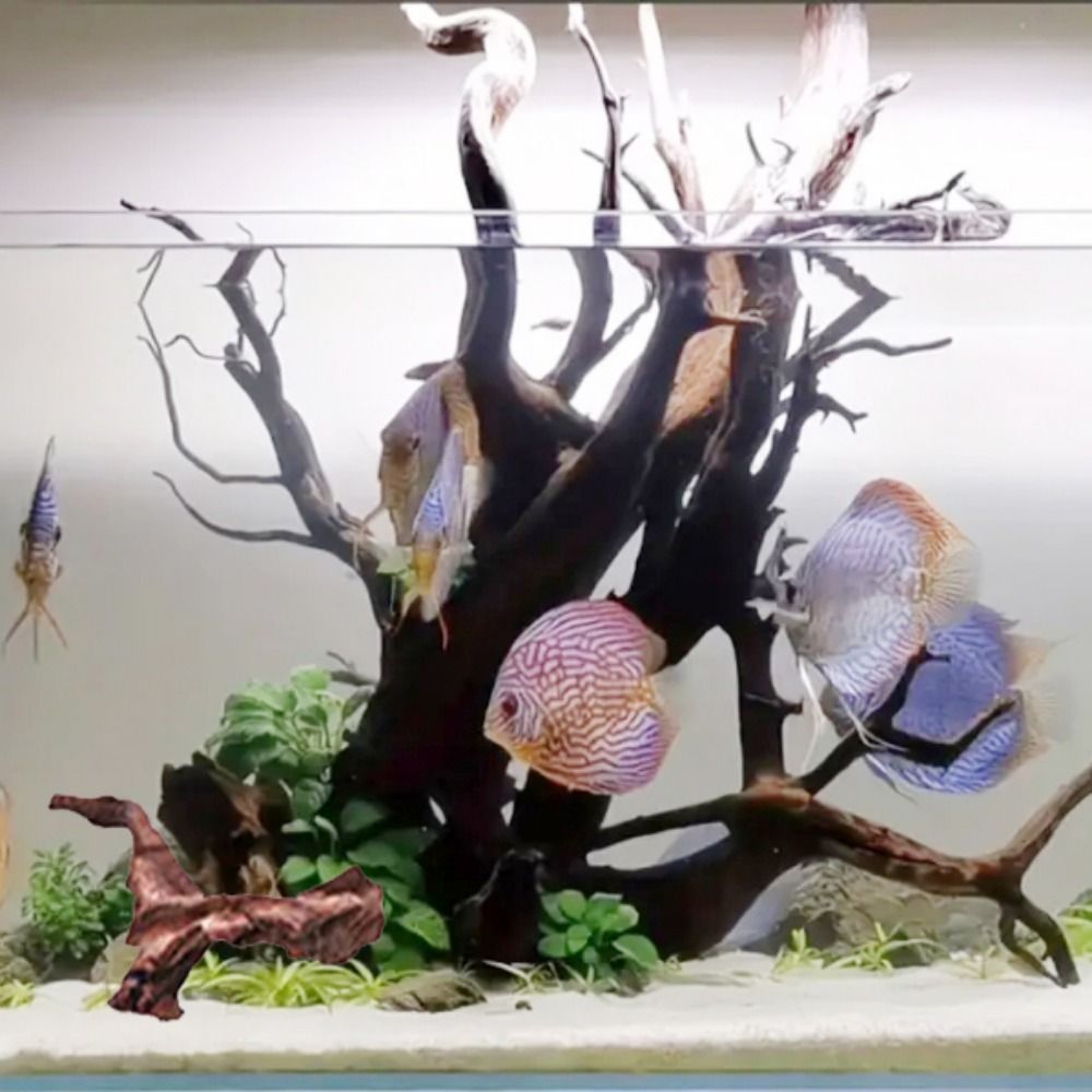 Tronco de Madera Natural de Co - Planted Aquarium Media reseña y precio