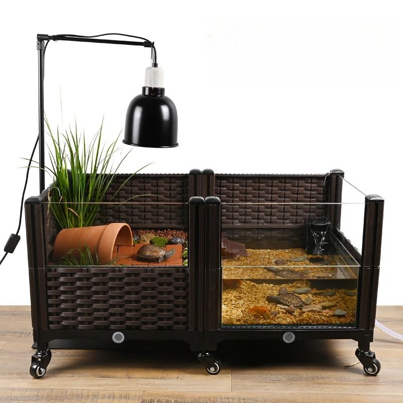 Tanque Eco Tortuga con Platafo - Aquarium Plant Yellowing reseña y precio