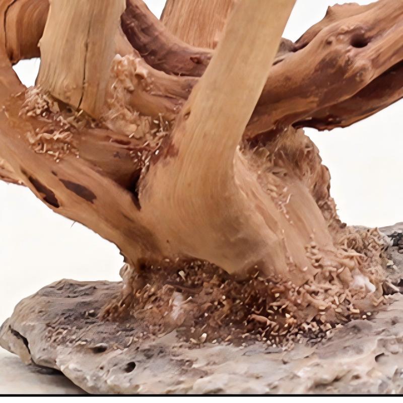 Adornos de madera para paisaji - Planted Aquarium Media reseña y precio