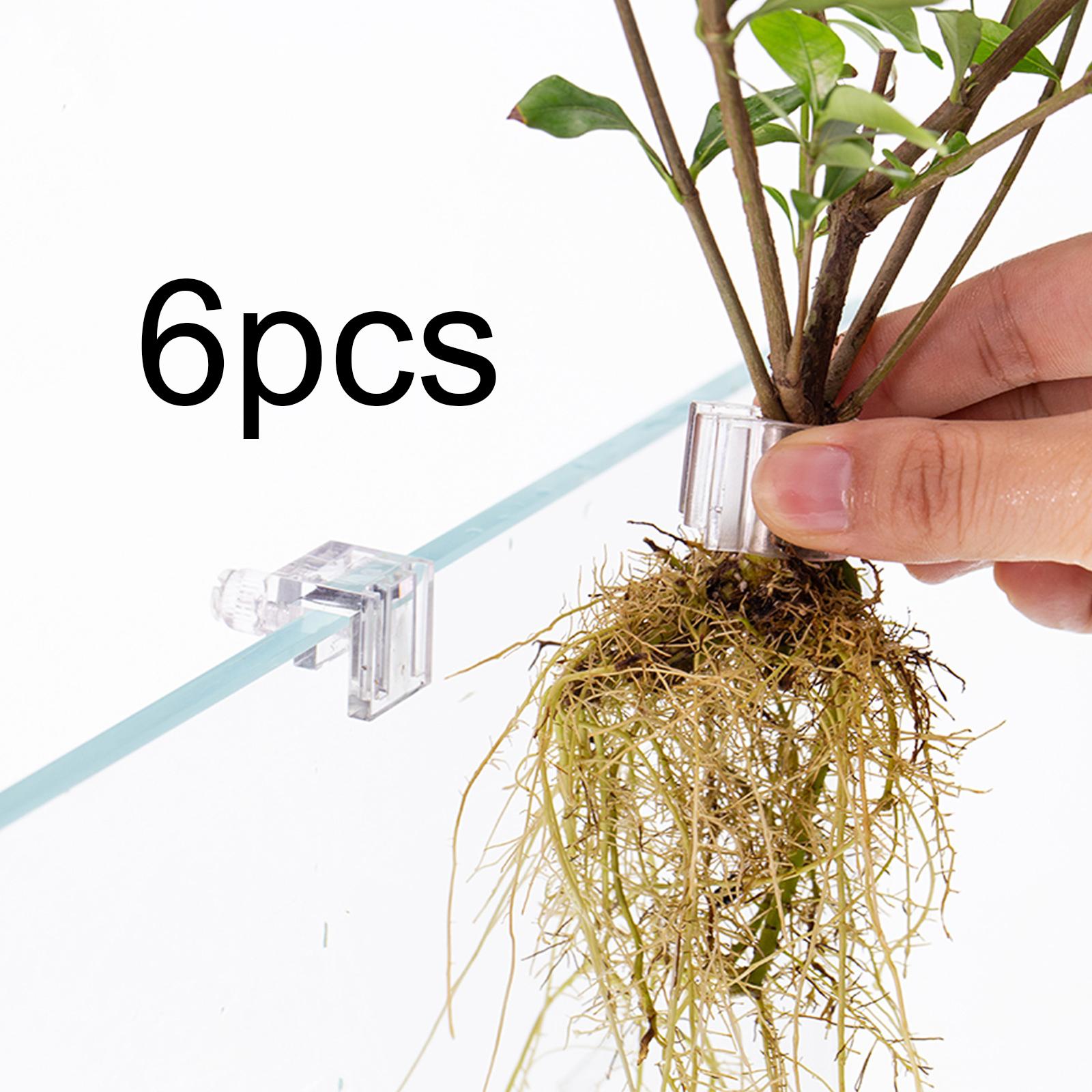 6 piezas de soportes para plan - Aquarium Plant On Top reseña y precio