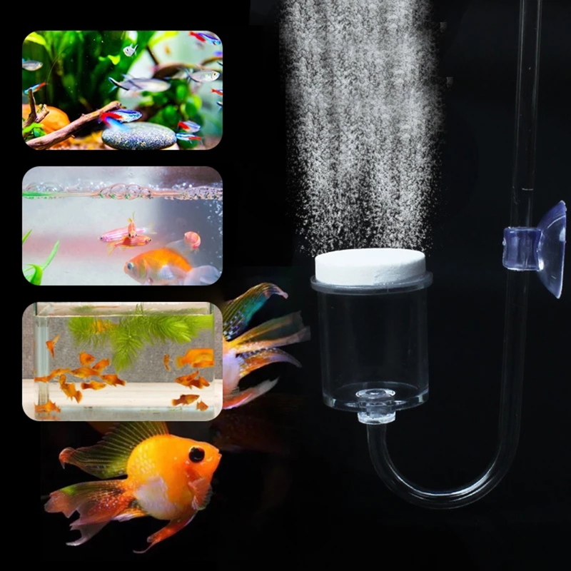 Juego de 4 piezas de difusor d - Planted Aquarium Co2 reseña y precio